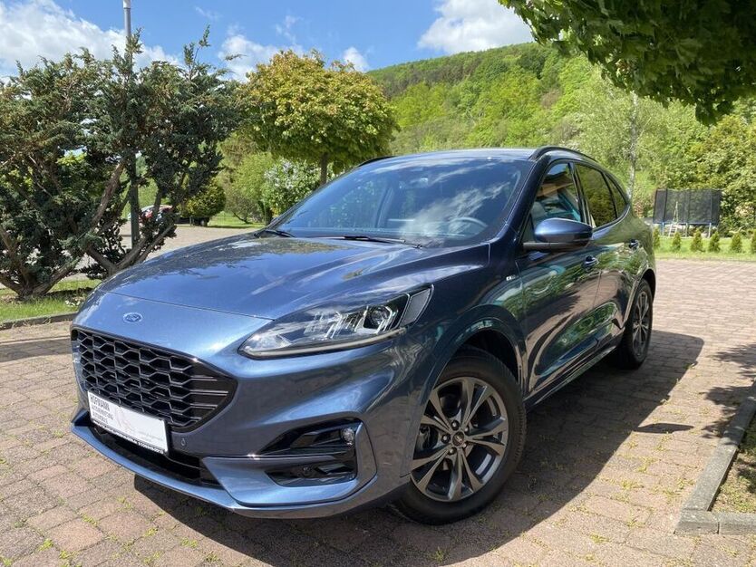 Kuga