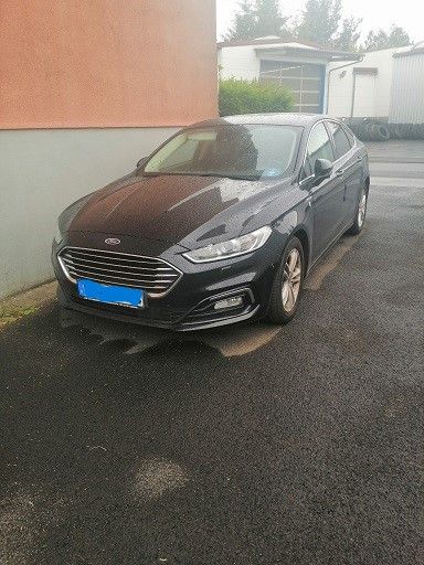 Mondeo