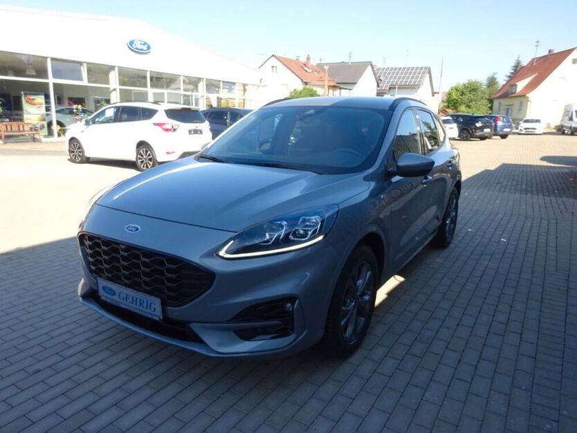 Kuga