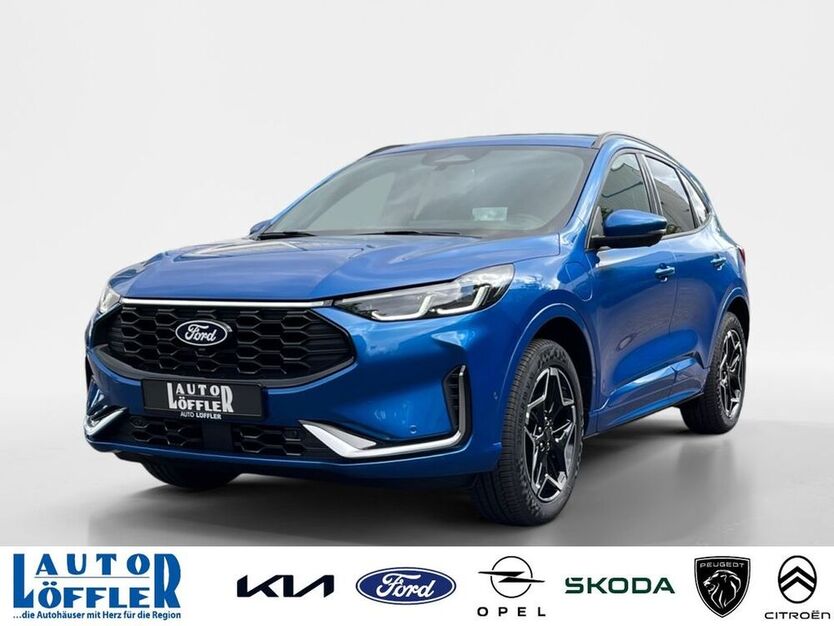 Kuga