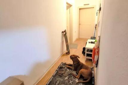 Wohnung Würzburg Lindleinsmühle - 3 Zimmer, 73 m&sup2;, 254.000&euro; | Angebot:24877852