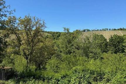 NEU im Angebot: Gartengrundstück für Naturfreunde in Unterdürrbach