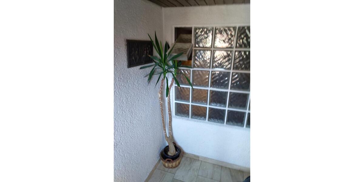 Etagenwohnung Würzburg Sanderau - 5 Zimmer, 134 m&sup2;, 440&euro; | Angebot:25752183