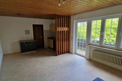 Wohnung Marktheidenfeld - 1 Zimmer, 29 m&sup2;, 500&euro; | Angebot:25941803