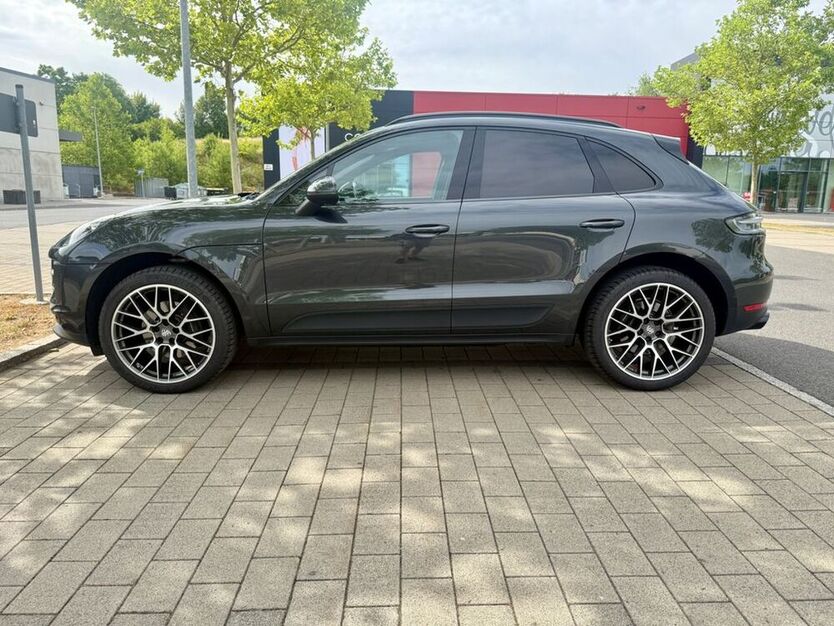 Macan