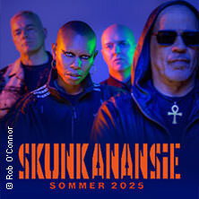Skunk Anansie Würzburg