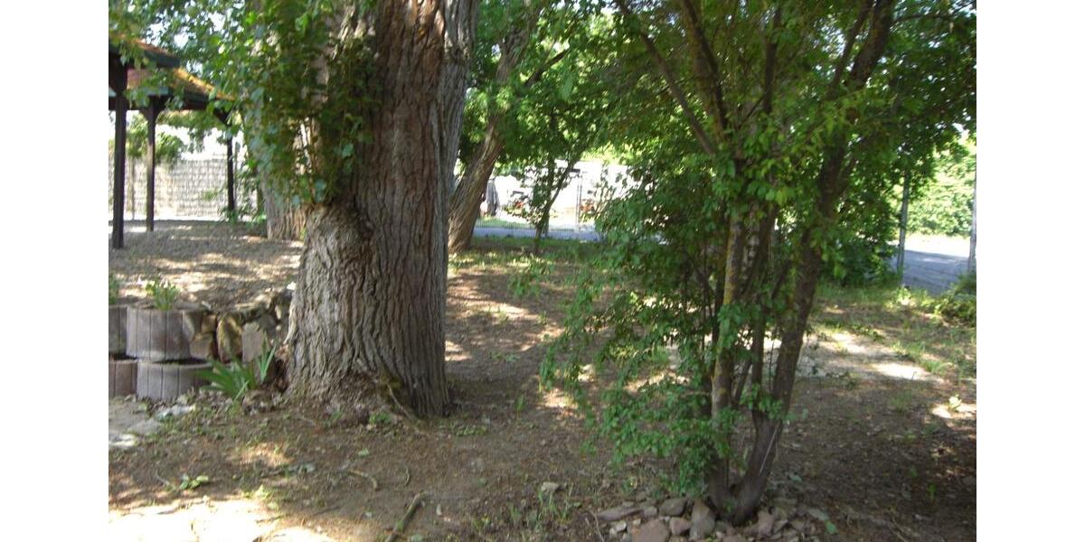 Gewerbeobjekt Würzburg Steinbachtal - 900&euro; | Angebot:26290873