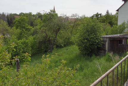 Grundstück Ippesheim - 50.000&euro; | Angebot:23959308