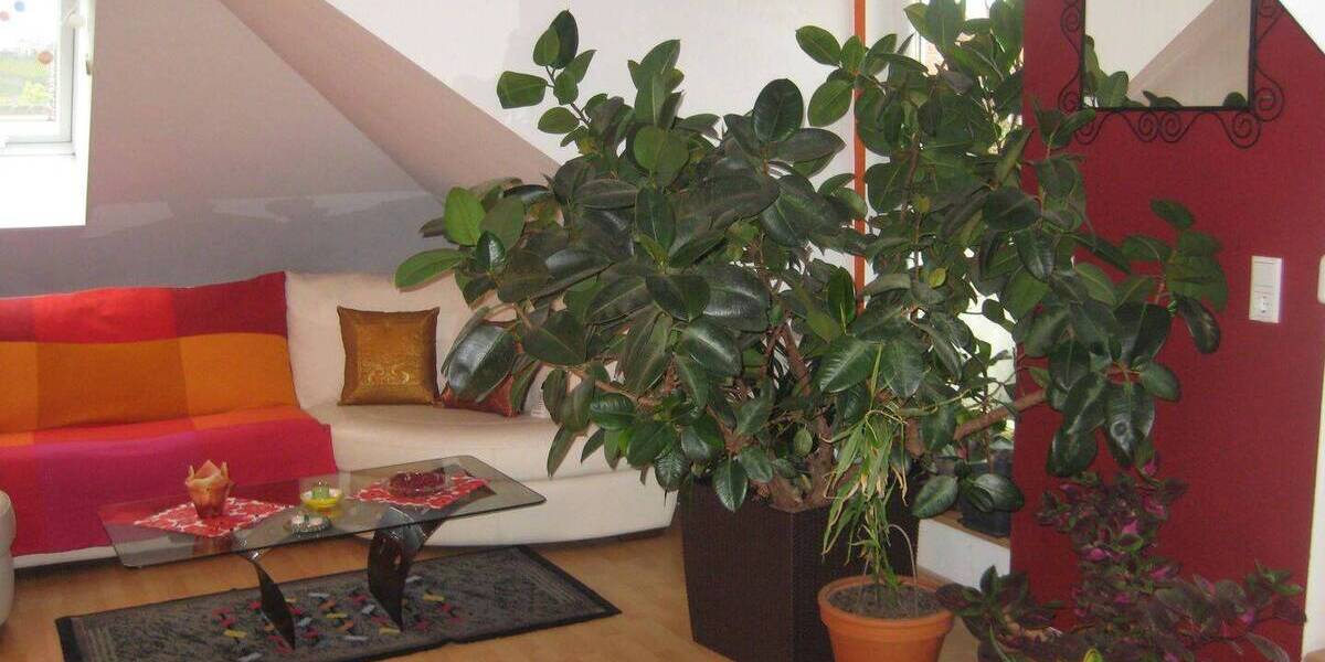 Etagenwohnung Würzburg Zellerau - 3 Zimmer, 80 m&sup2;, 280.000&euro; | Angebot:26205343