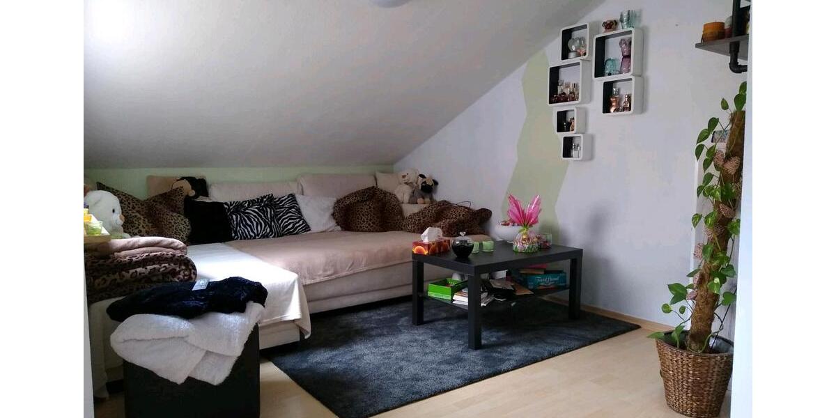 Dachgeschoßwohnung Würzburg Frauenland - 2 Zimmer, 50 m&sup2;, 7.654.321&euro; | Angebot:26281492