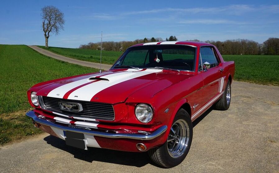 Mustang