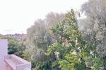 Etagenwohnung Prichsenstadt - 4 Zimmer, 110 m&sup2;, 349.000&euro; | Angebot:26089885