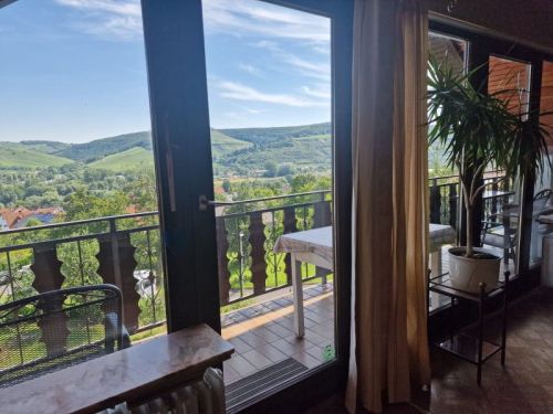 2-Familienhaus + ELW mit malerischem Ausblick in 97250 Erlabrunn Würzburg (ID 10466) - Mehrfamilienhaus, Wohnhaus Erlabrunn Erlabrunn , Unterfr | Angebot:22109882