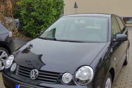 VW Polo 204.000 km 3.999 € Würzburg 97074