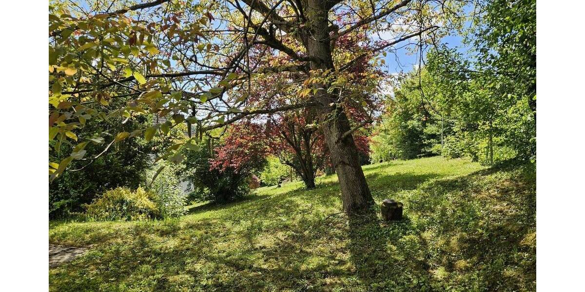 Einfamilienhaus Rimpar - 6 Zimmer, 159 m&sup2;, 425.000&euro; | Angebot:23970549