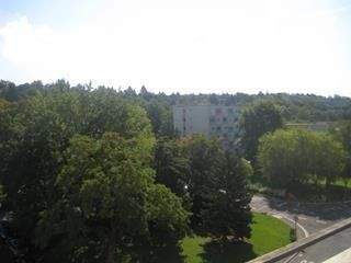 2,5-Zimmerwohnung nähe Universitätskliniken 2 zimmer