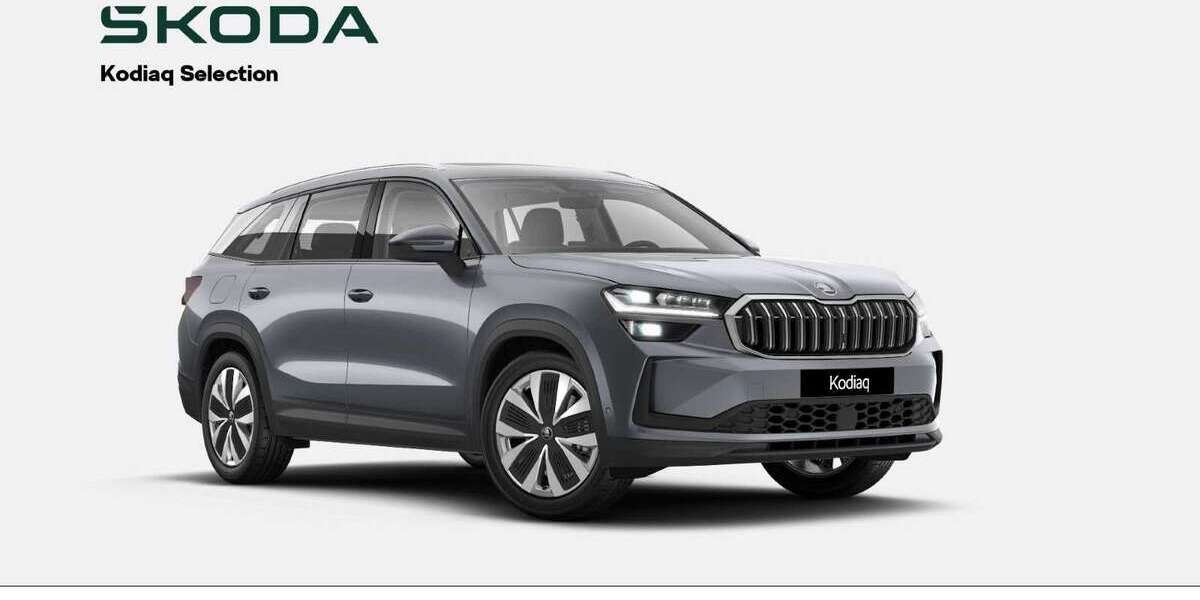 Skoda Kodiaq 8.000 km 43.880 &euro; Würzburg 97084