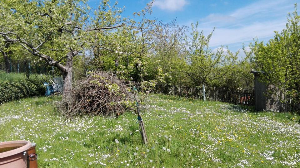 Grundstück Würzburg Lindleinsmühle - 25.000&euro; | Angebot:26047504