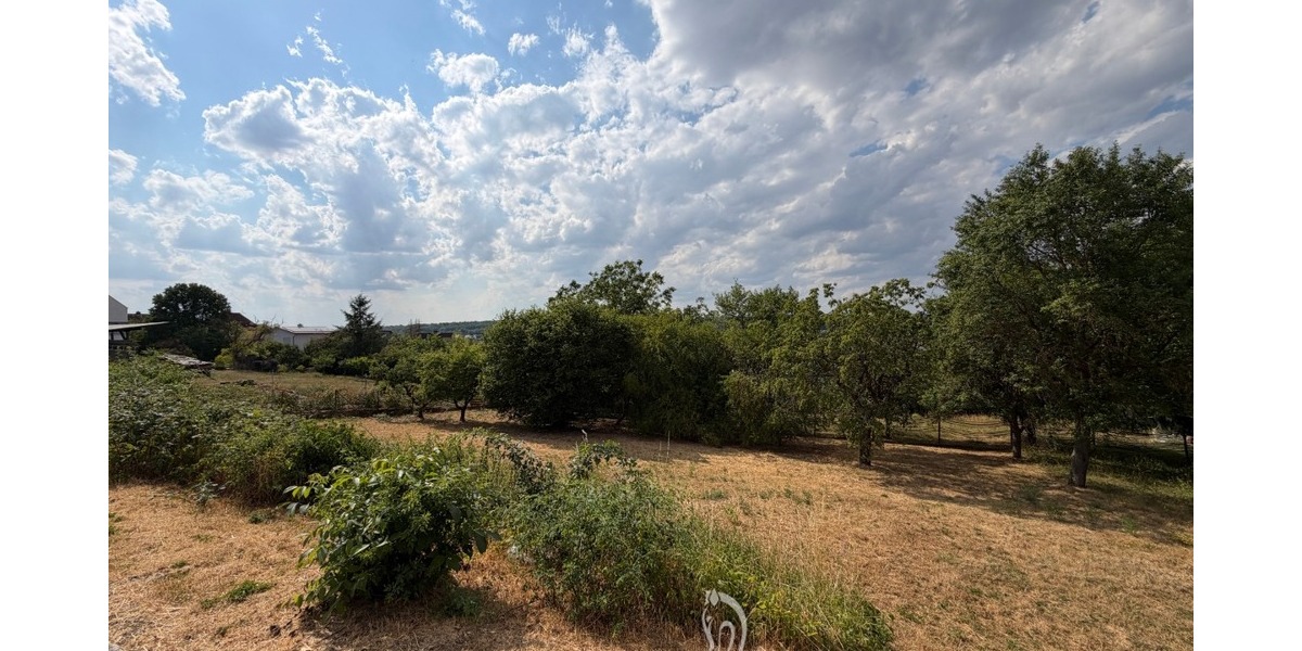 Baugrundstück mit Weitblick in einer der schönsten Lagen von Höchberg - Grundstück Höchberg | Angebot:27117466