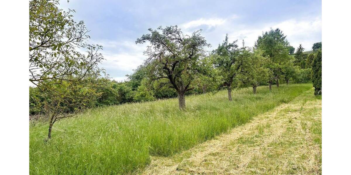 Grundstück Würzburg Heidingsfeld - 340.000&euro; | Angebot:26202393