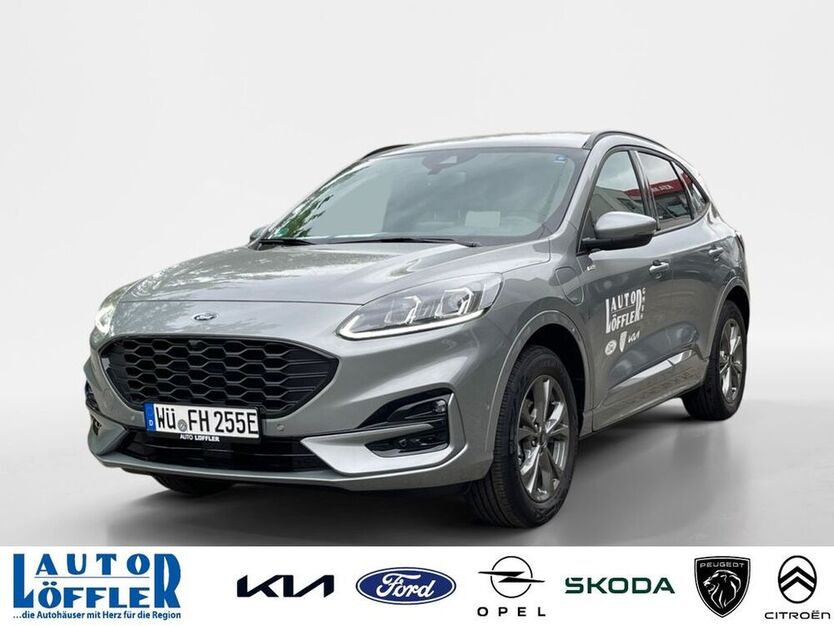 Kuga