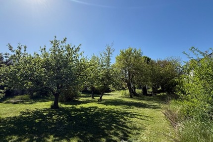 Sonniges Baugrundstück für Einfamilien-, oder Doppelhaus in einer der schönsten Lagen von Höchberg - Grundstück Höchberg | Angebot:26947539