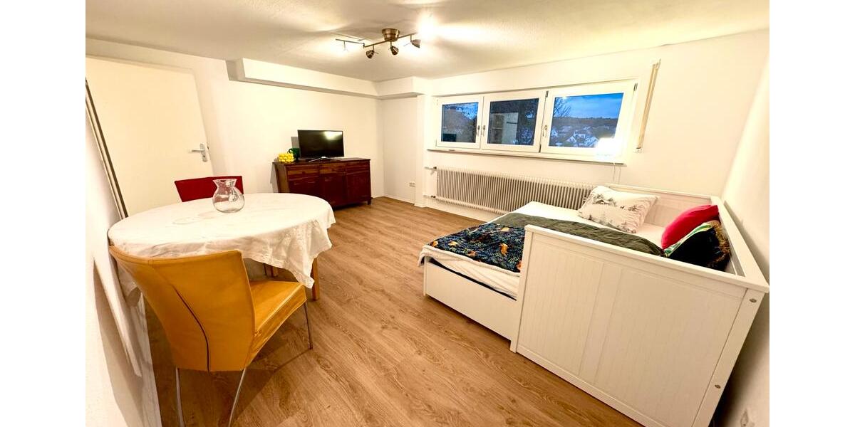 Erdgeschoßwohnung Würzburg Frauenland - 1.5 Zimmer, 38 m&sup2;, 610&euro; | Angebot:25980094