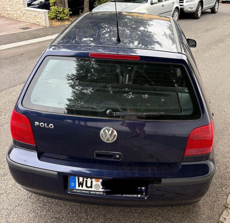 Polo